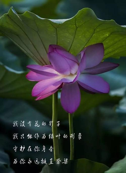你会了解一个朋友