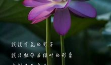 一声朋友你会懂