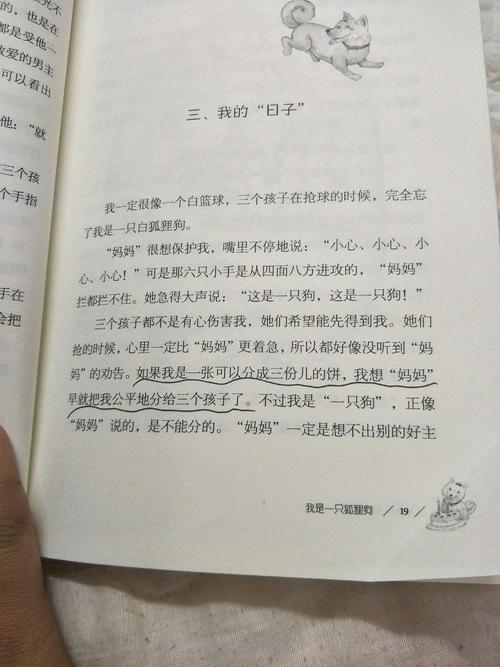 父母的一轮温暖的阳光