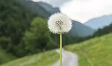 我的成长你盛装莅临