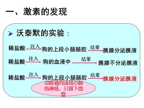 “一个”角色