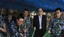 共享无素质而不立