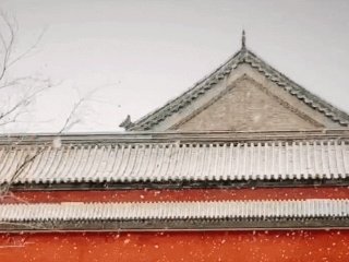 最美丽的雪花瓣，恐怕它会消融