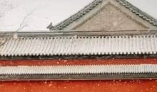 最美的雪瓣，我怕它消融