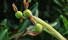 那一抹微笑，滋润了我的心田