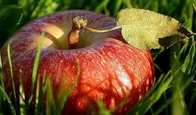 鼓励是一剂良药