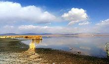 天空高远，何须蹀躞