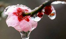 小白兔找秋天作文三年级