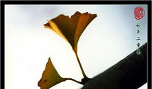 爱在细微处闪耀