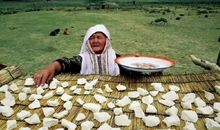 哈萨克族的奶疙瘩