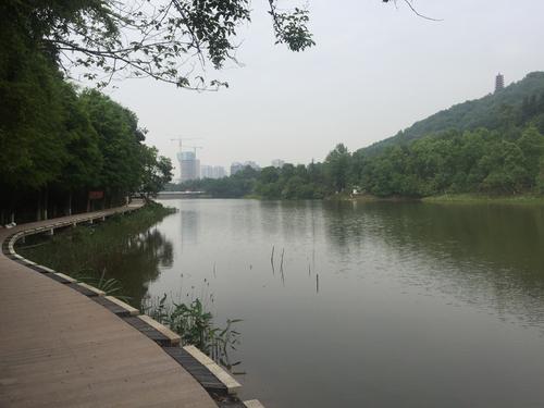 山湖环境污染调查报告
