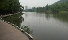 关于照母山湖泊的环境污染的调查报告