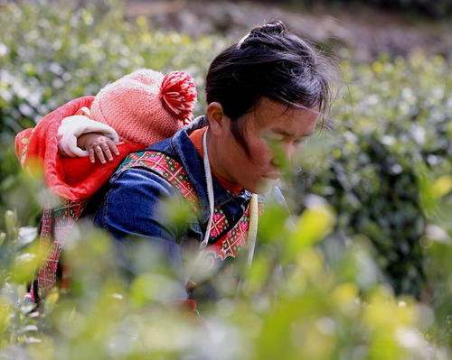 谁知道一杯茶，这部电影很难