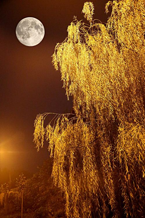 夜晚