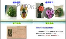 我的植物朋友作文300字三年级下册