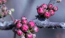 细腻的母爱，滋润了我的心田