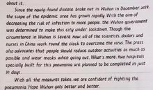 控制疫情的奇思妙想的作文