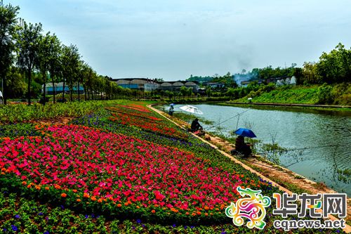 美丽的花木头世界