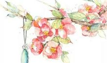 又是一年重阳时