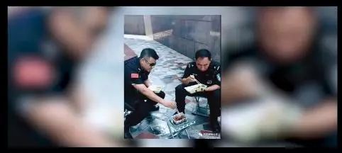 向最美丽的追逐致敬