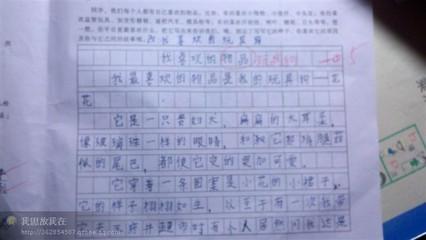 我喜欢新的一年组成300字