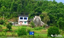 稻花香小镇一日游