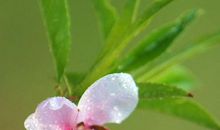 用心灵感悟大自然