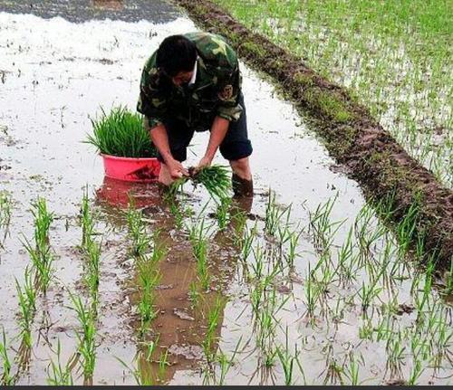 然后回来后