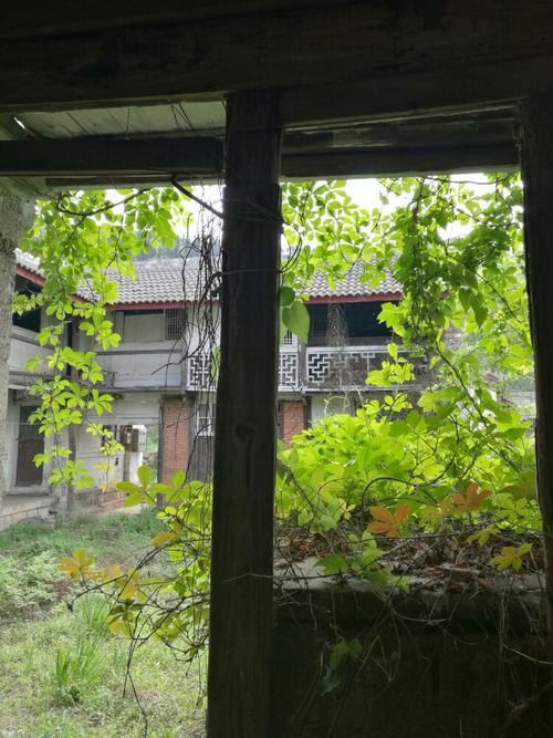 窗户上的阳光