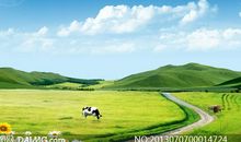 阳光下，让我们共享