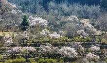 我眼中别样的春天