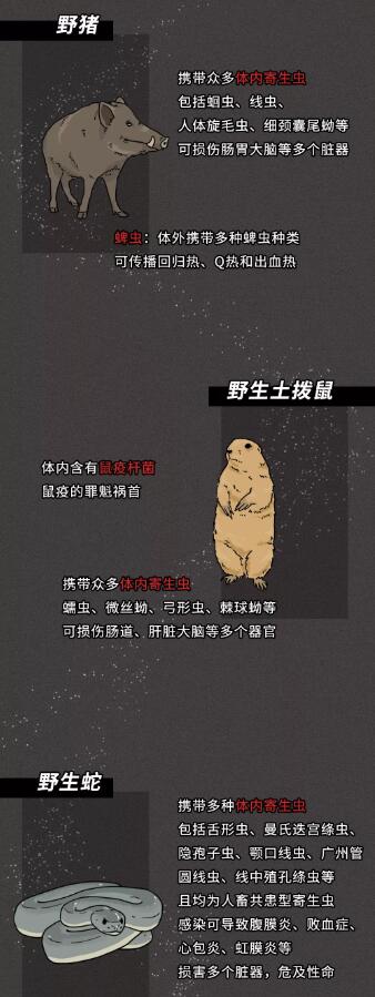 我是一个蝙蝠的烟尘。