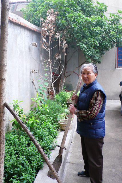 我的养蜂人花园