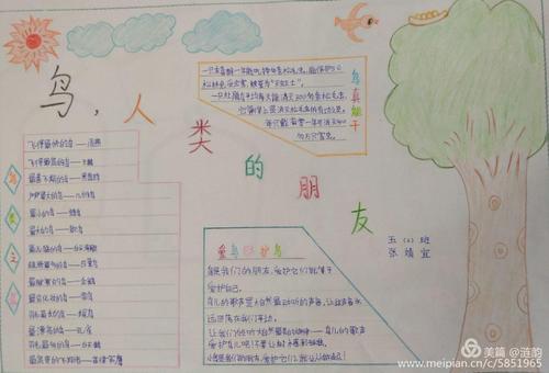 依法保护候鸟，守护着绿色的家