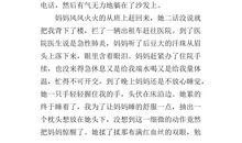 妈妈给我的爱作文