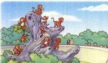 小猴近视了看图写话