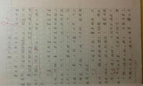 湿地公园组成400字
