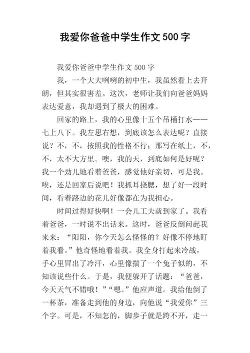 爸爸给了我爱