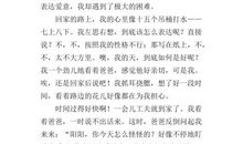 爸爸给我的爱作文