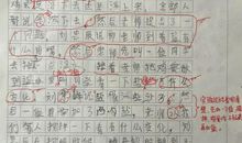 鸡蛋浮起来作文三年级