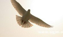 让心灵载着自信飞翔