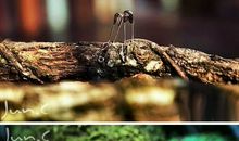 别样的人别样的心情