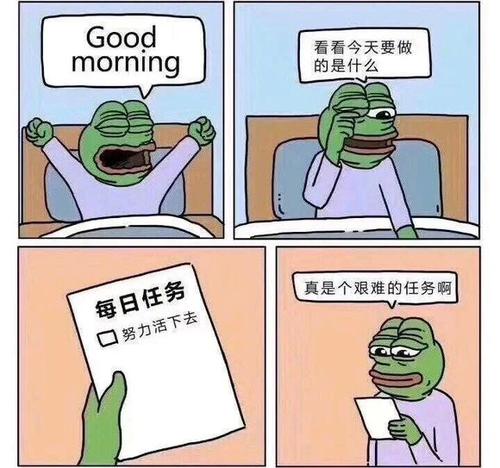 忙碌的一天
