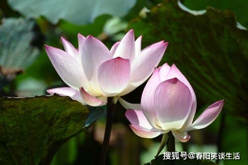 灵魂的彻底色彩