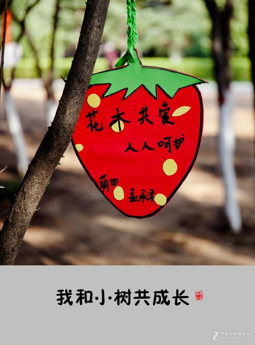 生长与小树