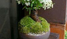 十指相扣的温暖