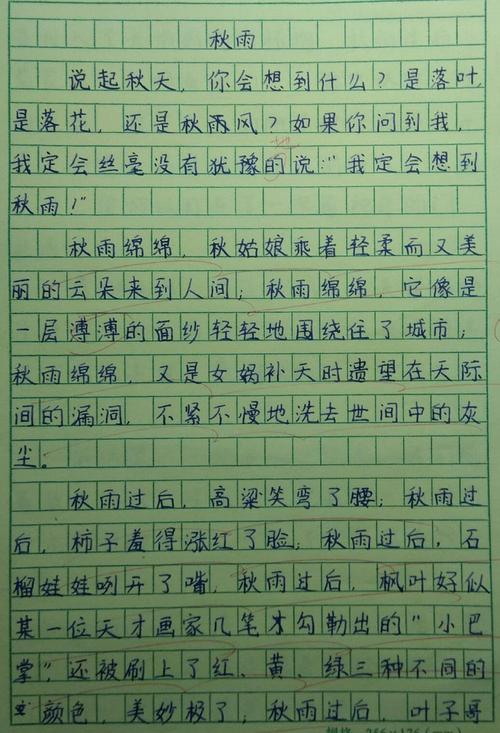 最美丽的教师组成400字