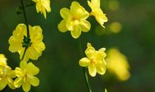 携手共创美好家园