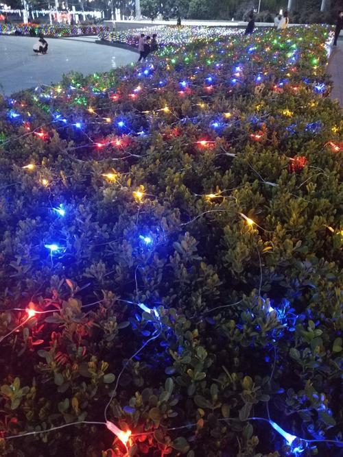 青玉山山在晚上