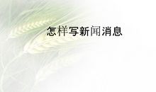 新闻特写范文初二